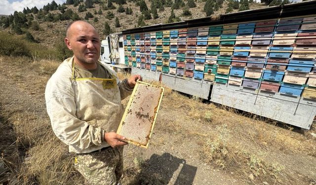 Toroslar’da Balın Seyyah Serüveni: Mobil Tırla Yollarda!