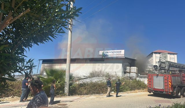 Alanya'da Yürekleri Ağıza Getiren Yangın Seralara Sıçramadan Söndürüldü