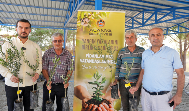 Alanya’da Yaşanan Yangın Felaketinin Ardından 3400 Zeytin Fidanı Bahçe Sahiplerine Dağıtıldı