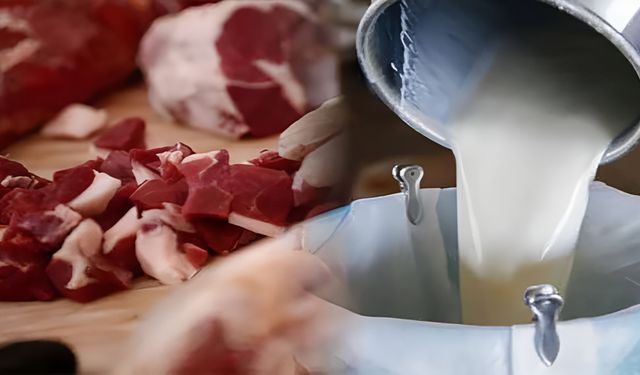 TÜİK 2023 Kırmızı Et ve Çiğ Süt Üretim Rakamlarını Açıkladı