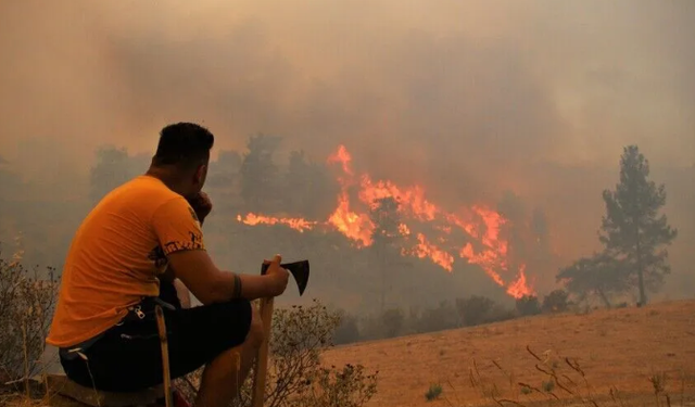 SON DAKİKA: Antalya Aksu’da Korkutan Orman Yangını
