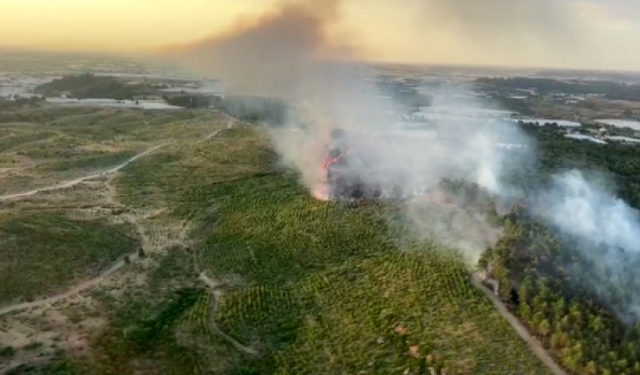 Antalya Güne Yine Orman Yangını İle Başladı