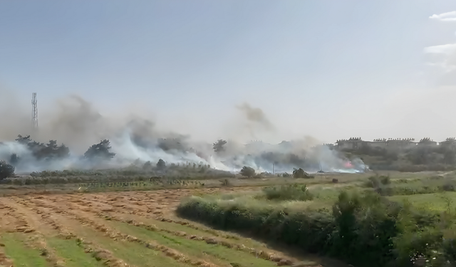 SON DAKİKA: Manavgat Kızılağaçta Orman Yangını! Alevler Yerleşim Yerlerini Tehdit Etmeye Başladı