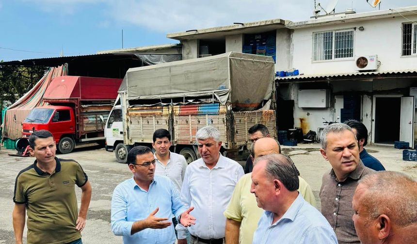 Alanya Halinde Ürün gümrükleme Müjdesi Sonrası Çalışmalar Hız Kazandı