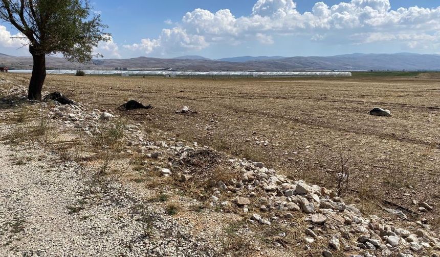 Korkuteli'nde su baskını sebebiyle onlarca hayvan telef oldu