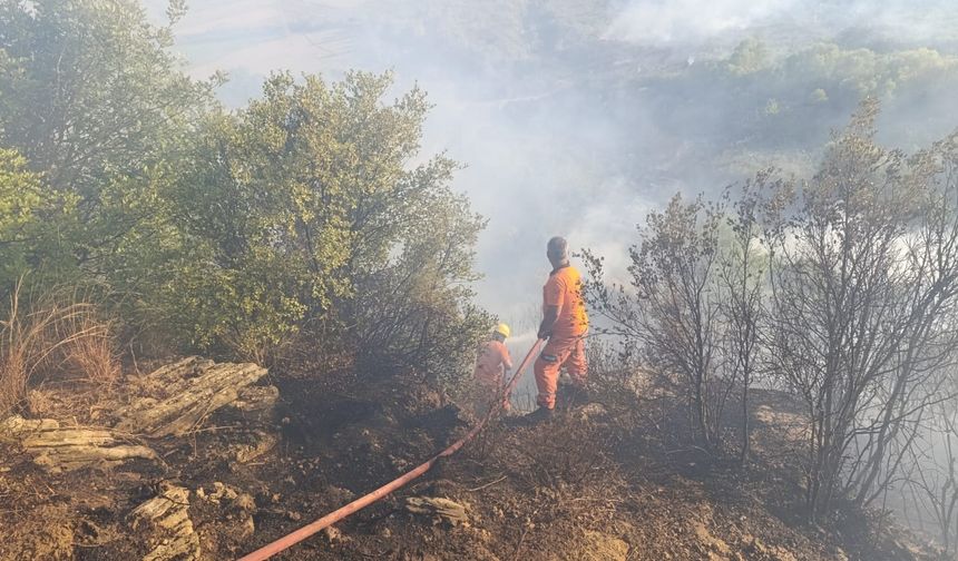 Antalya Aksu’daki Orman Yangını Kontrol Altına Alındı