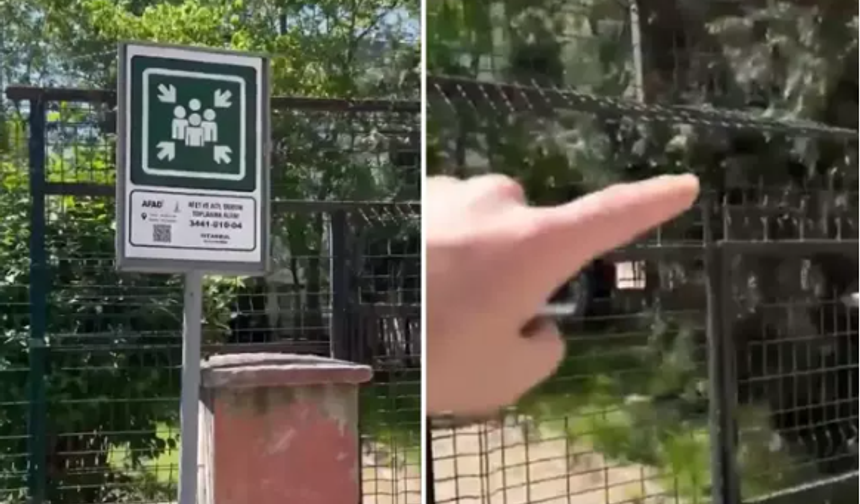 İstanbul Depremi Sonrası Toplanma Alanında Vatandaşları Şoke Eden Olay!