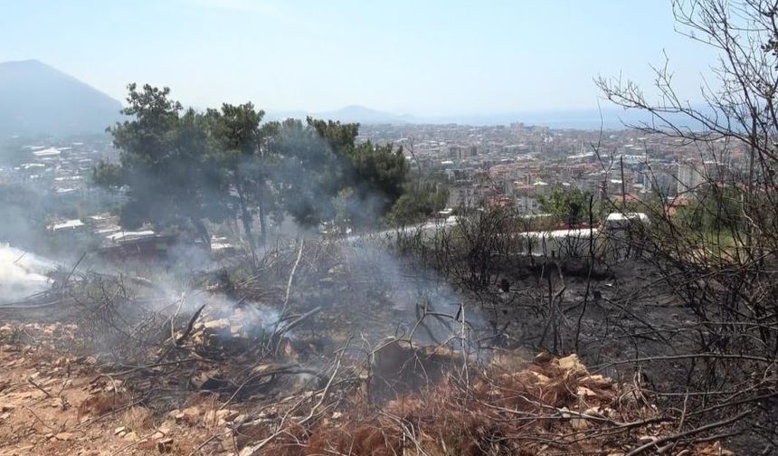 Alanya'da makilik alandaki yangın ormana sıçramadan söndürüldü