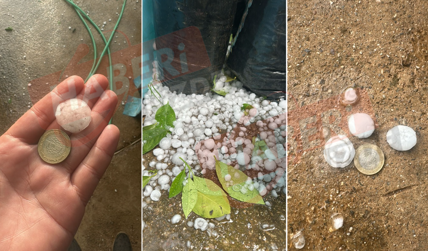 Alanya Emişbeleni'nde Dolu Felaketi: Tarım Alanları Zarar Gördü