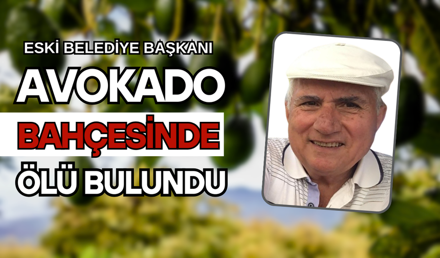 Eski Belediye Başkanı Alanya'da Avokado Bahçesinde Ölü Bulundu