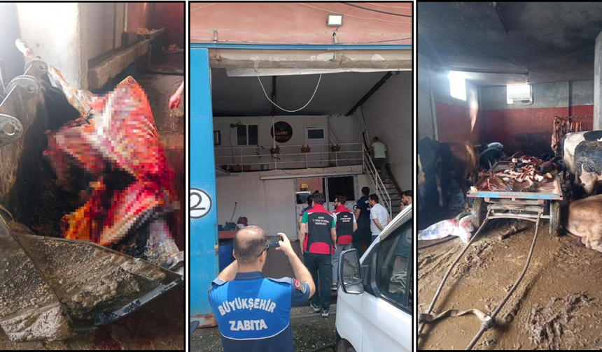 Kebabın Başkentinde Evde At Keserken Suçüstü Yakalandılar