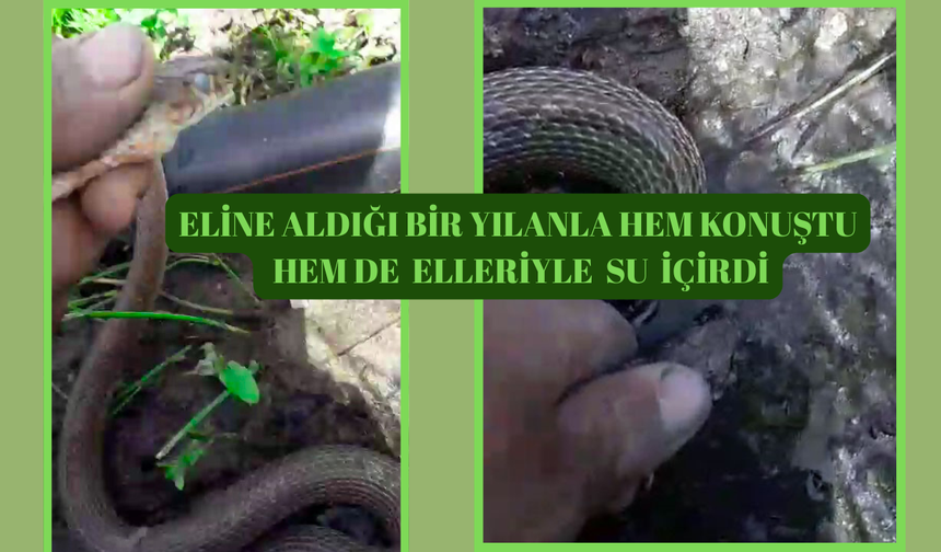 Aşk-I Memnu’nun İkonik Çiftliği Satışta! Fiyatı Dudak Uçuklattı