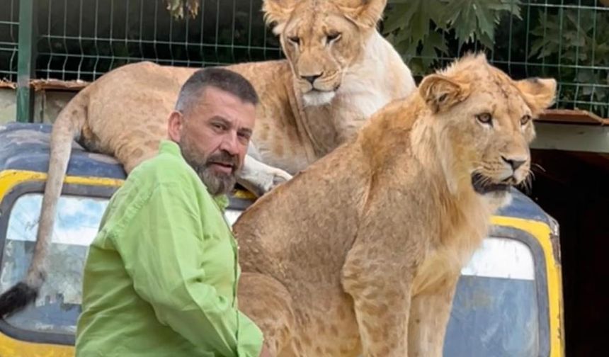 Çiftçiye Saldıran Aslanın Sahibinden İlginç Savunma: ‘’Sosyal Bir Hayvandı"