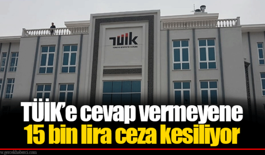 TÜİK Anketine Yanıt Vermeyene 15 Bin TL Ceza Şoku