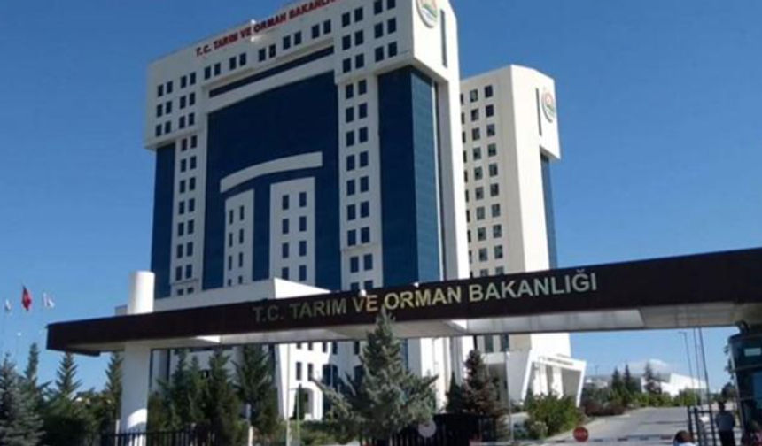 Antalya'da Gıda Güvenliği Hakkında Alarm Verilirken Alanya Ne Durumda?