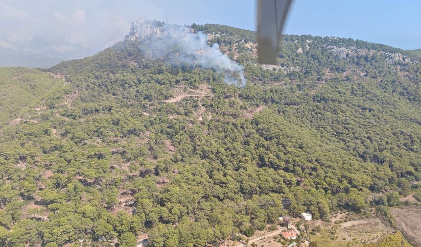 Antalya Kemer’de Orman Yangını: Ekipler Seferber Oldu
