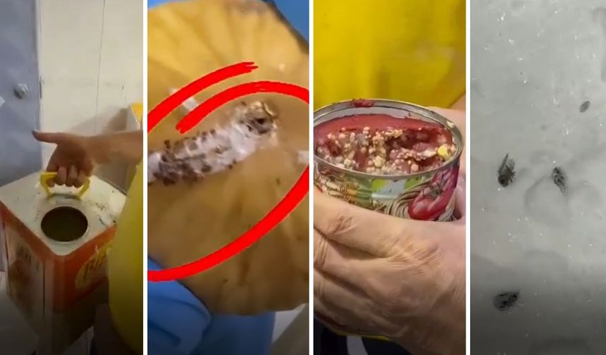 Gaziantep’te Pastaneye Yapılan Denetimde Şok Görüntüler!