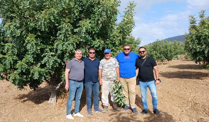 Alanya Keçiboynuzu Üreticiler Birliği Kıbrıs’ta AR-GE ve Saha Çalışması Yaptı