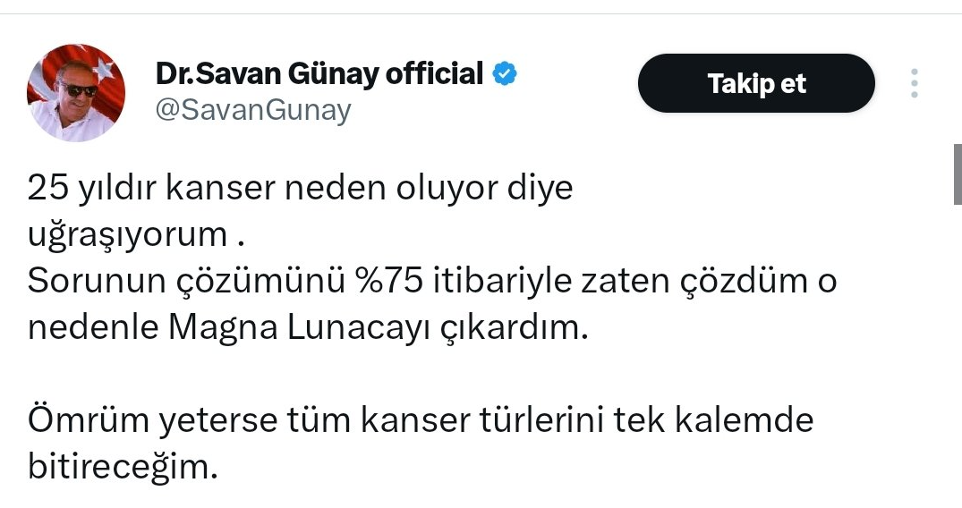 Ekran Görüntüsü 2025 06 15 133804