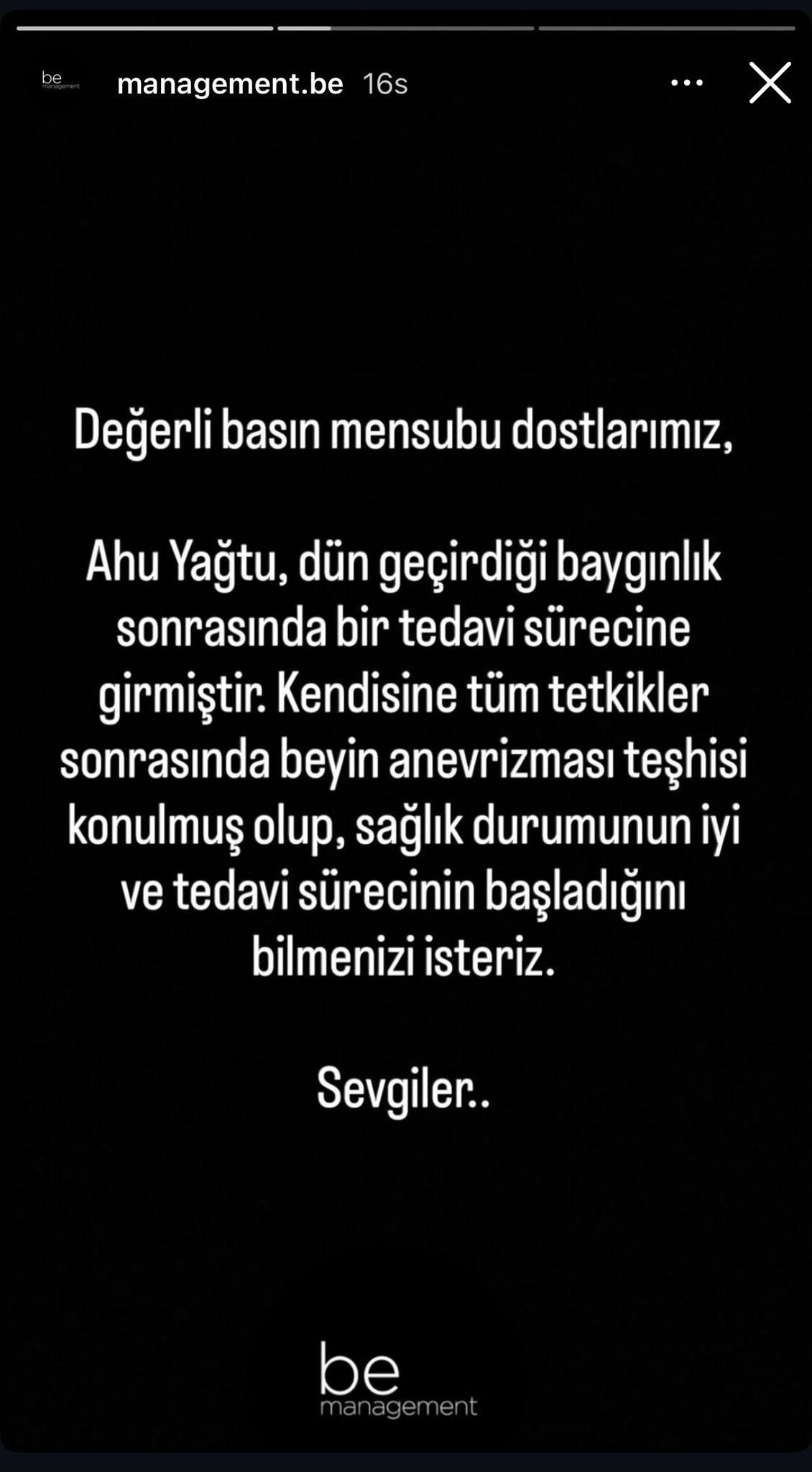 Metiniçi Ahu