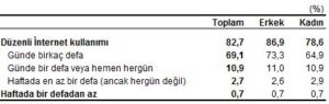 hanehalki-bilisim-teknolojileri-kullanim-arastirmasi